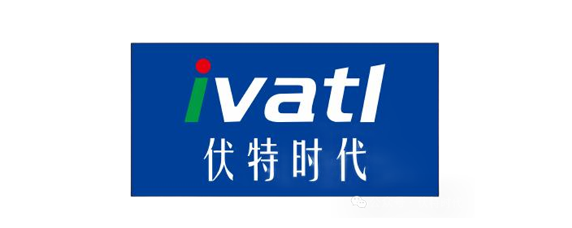 安徽伏特时代新能源有限公司